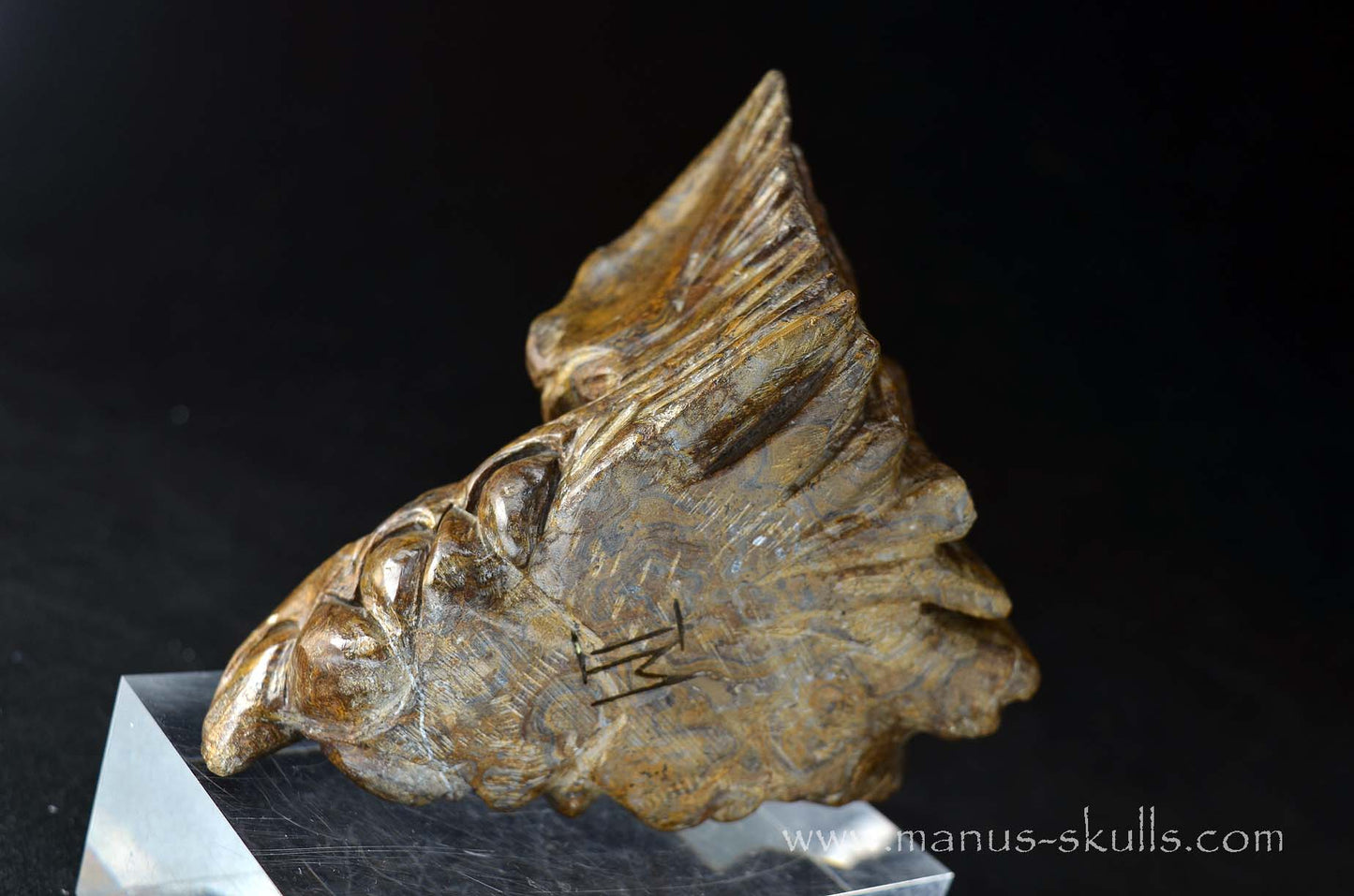 Stromatolite Dragon