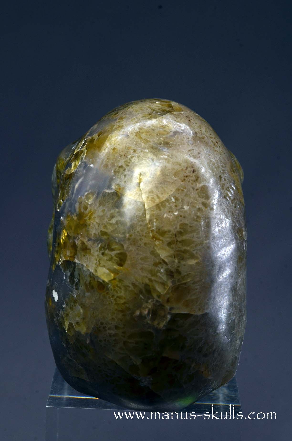 Rare Plume Agate Skull