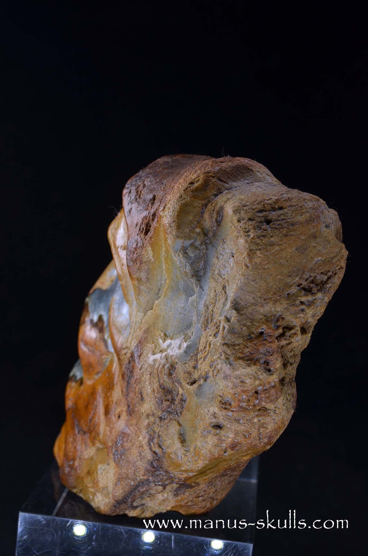 Polychrome Jasper Skull Face