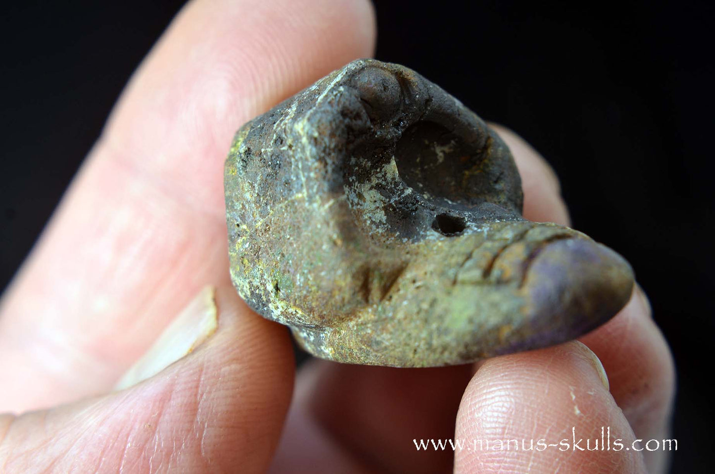 Purpurite Evolian #01