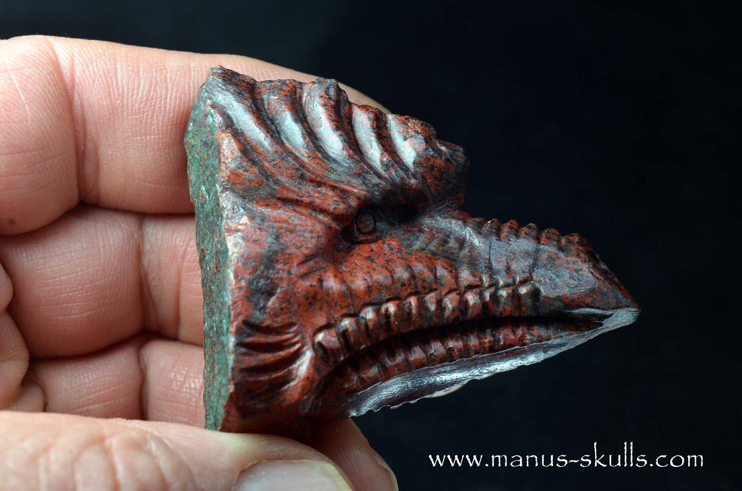 Sonora Sunrise Dragon