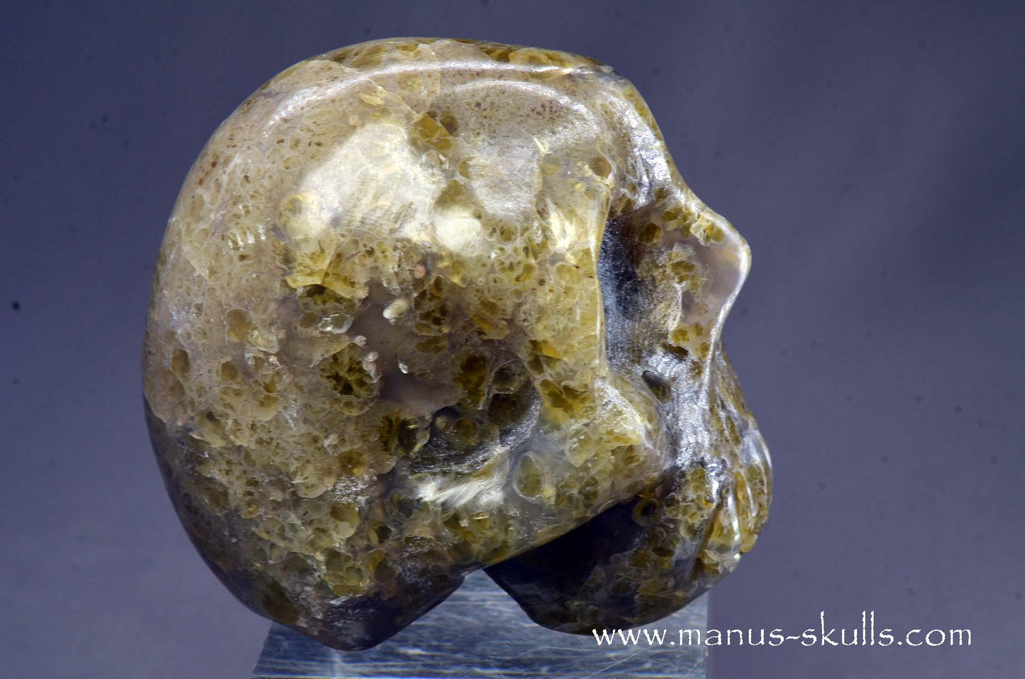 Rare Plume Agate Skull