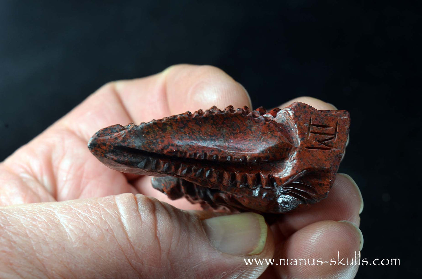 Sonora Sunrise Dragon