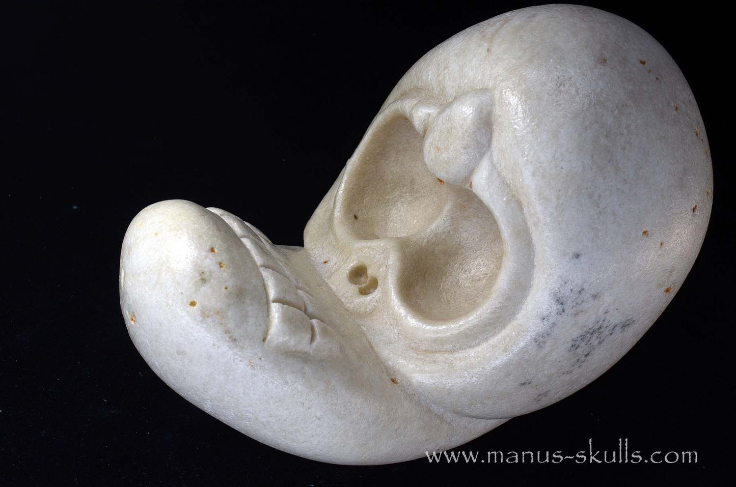 White Steatite Evolian 2026 #04