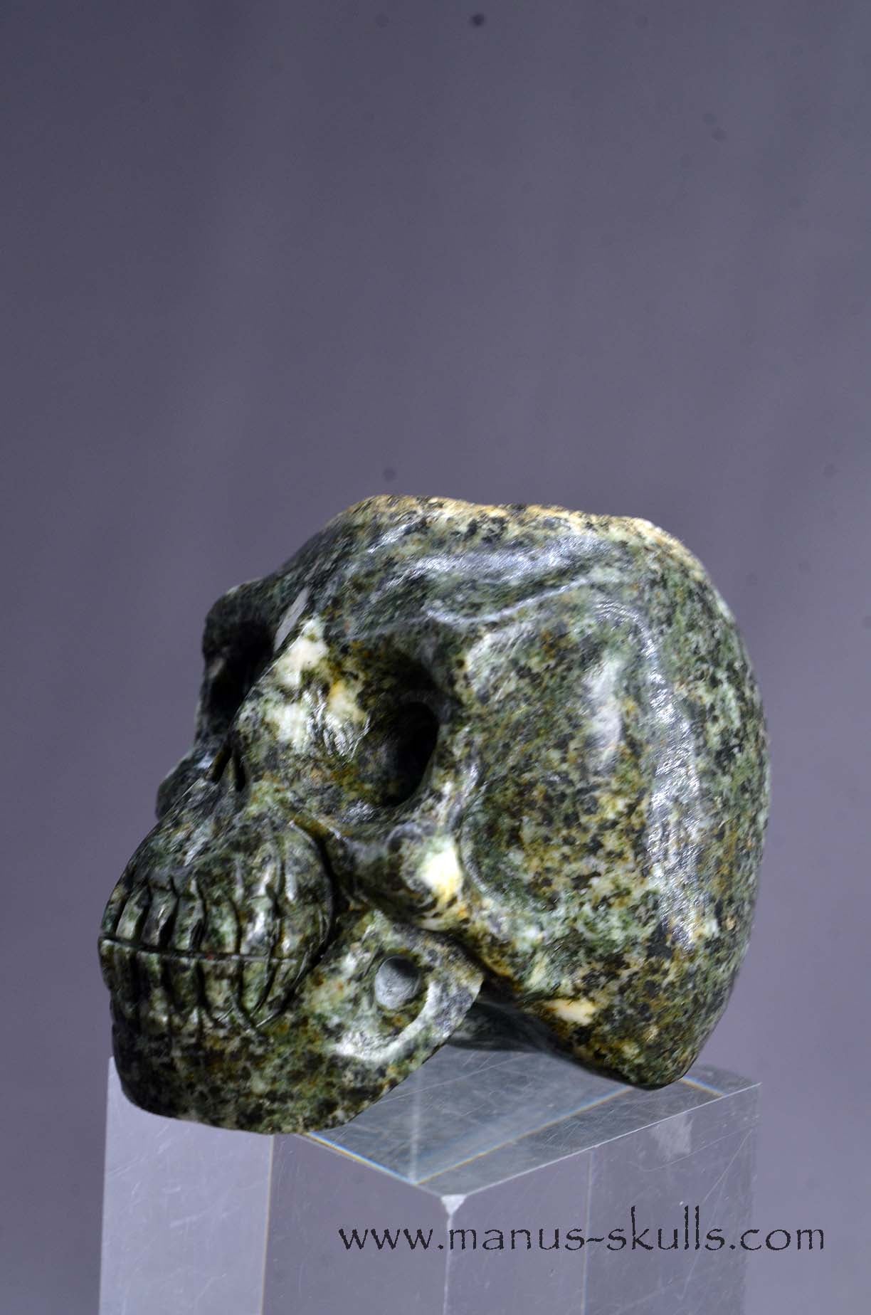 Preseli Bluestone Skull