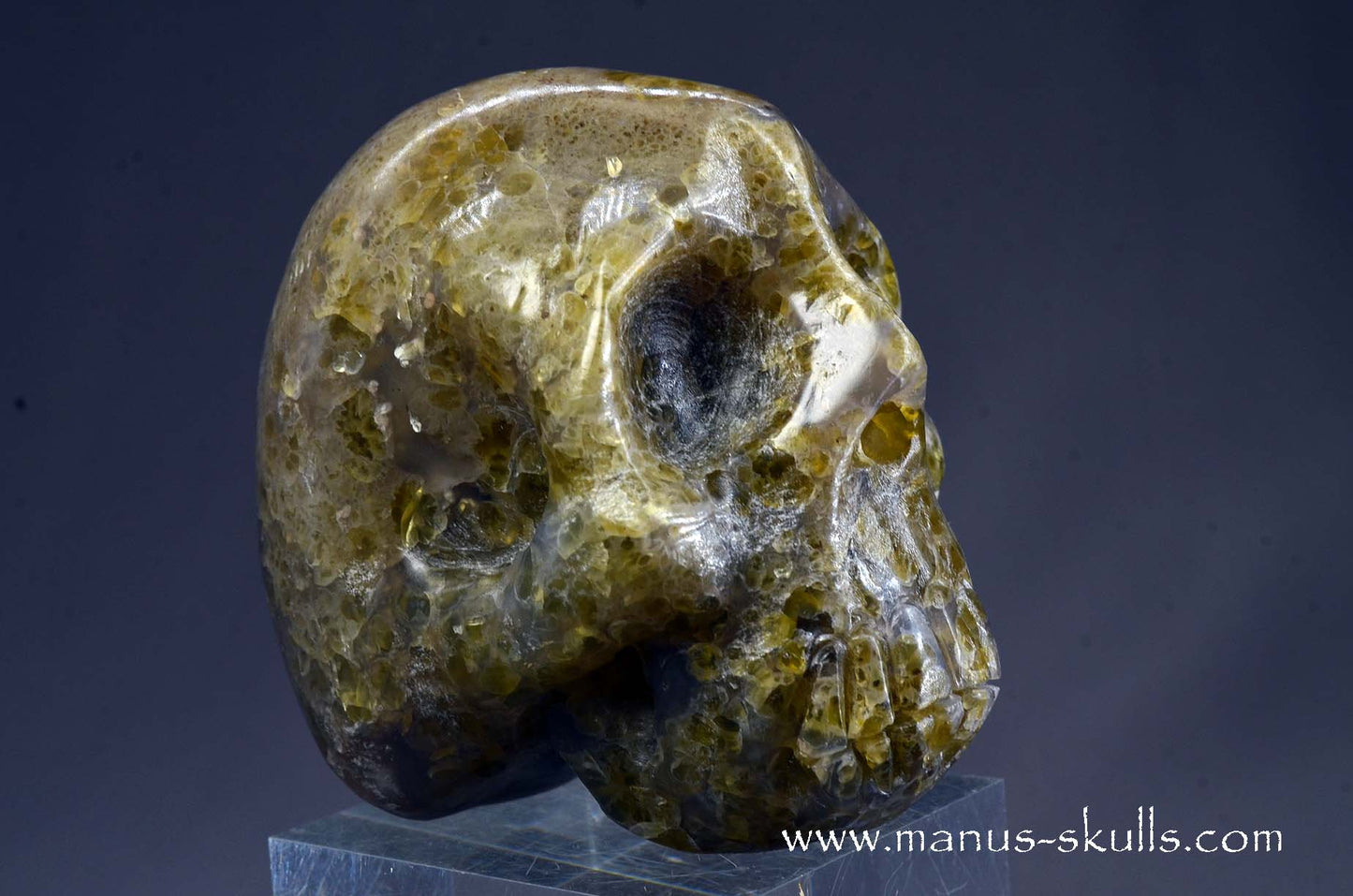Rare Plume Agate Skull