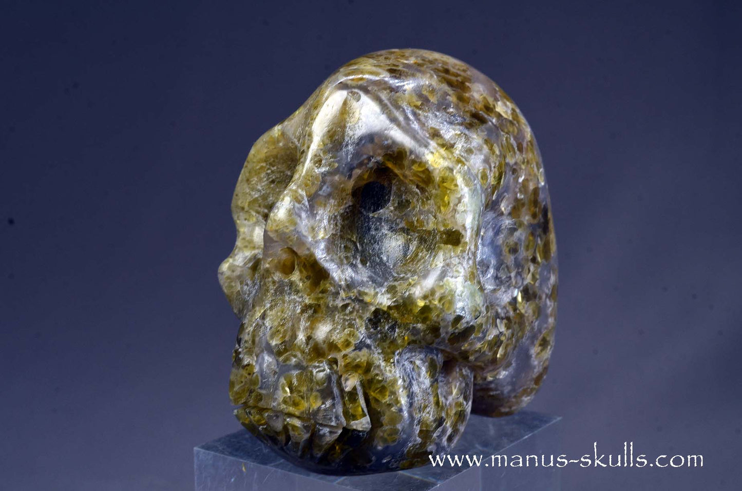 Rare Plume Agate Skull