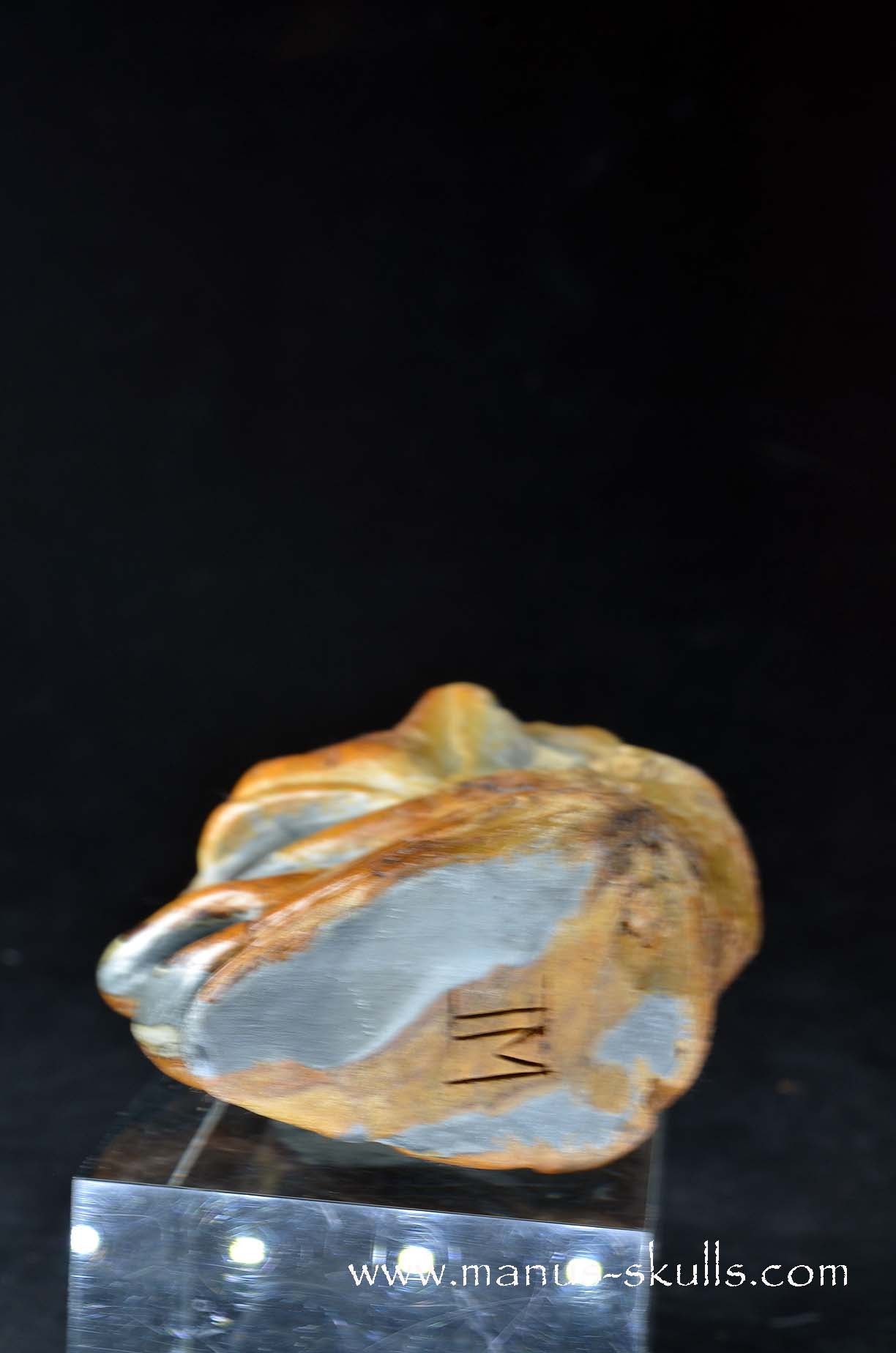 Polychrome Jasper Skull Face