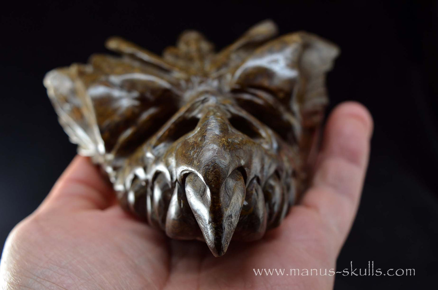 Stromatolite Dragon