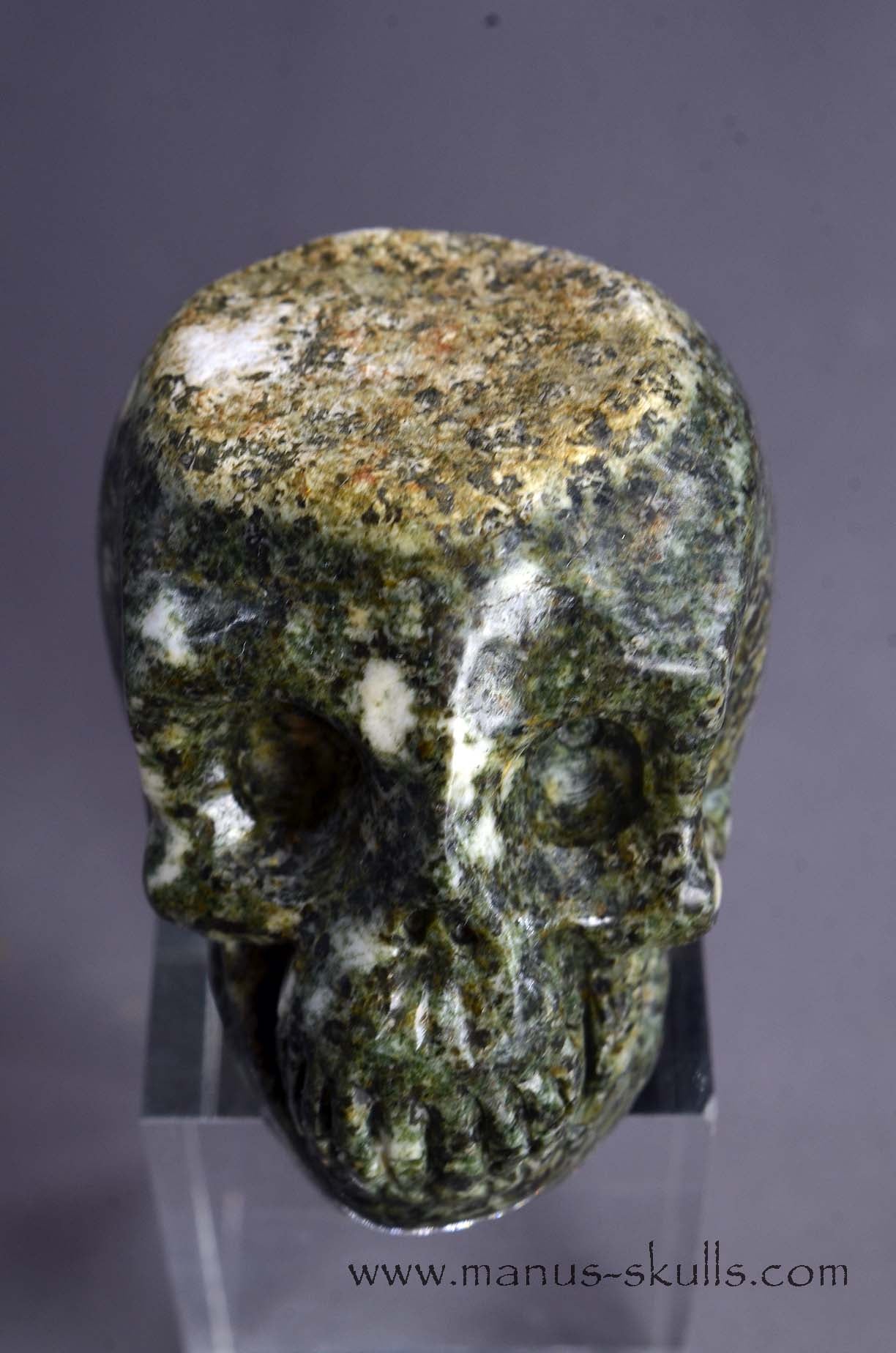 Preseli Bluestone Skull