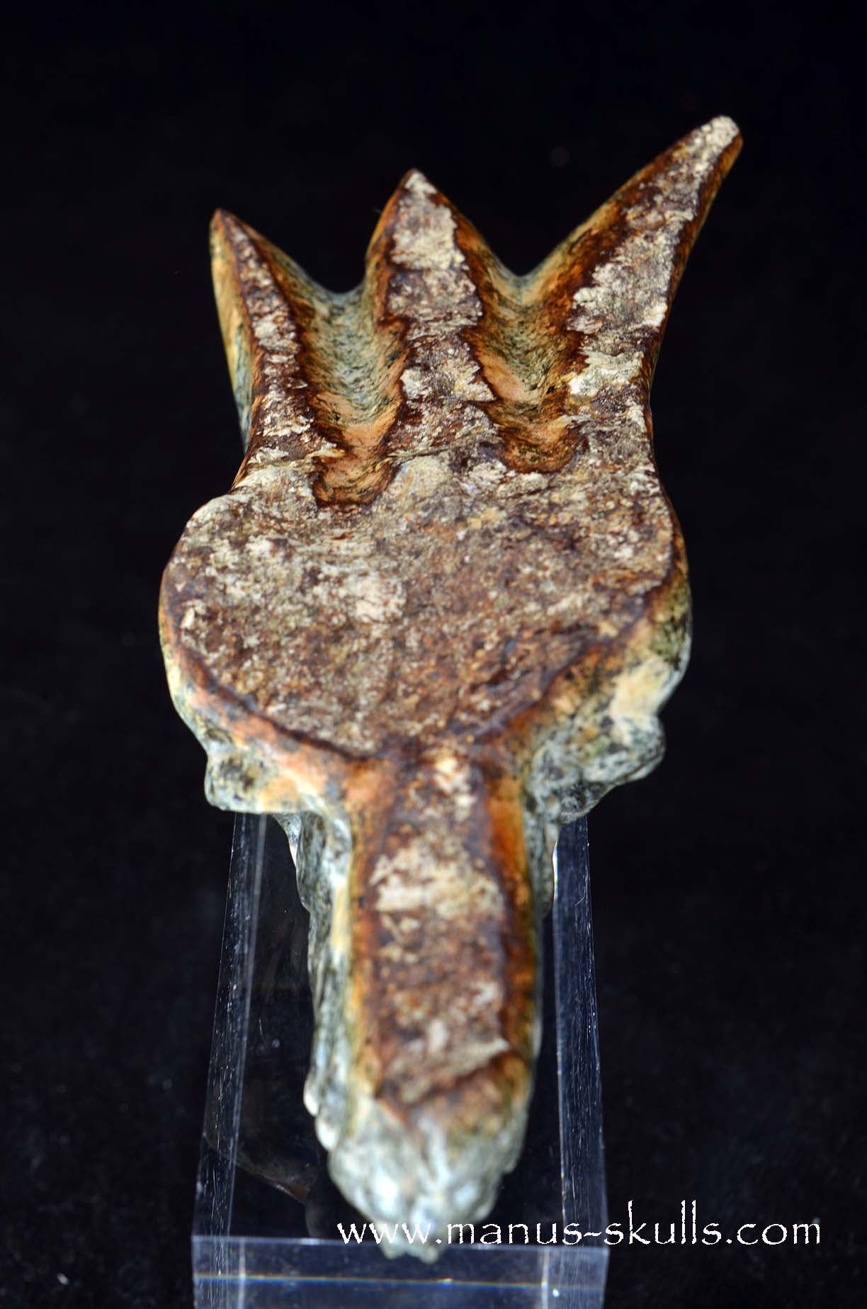 Manus skulls unique Crystal Carvings handmade skulls dragons pendants preseli bluestone tribals spiritual meaning wand Unicorn .. 