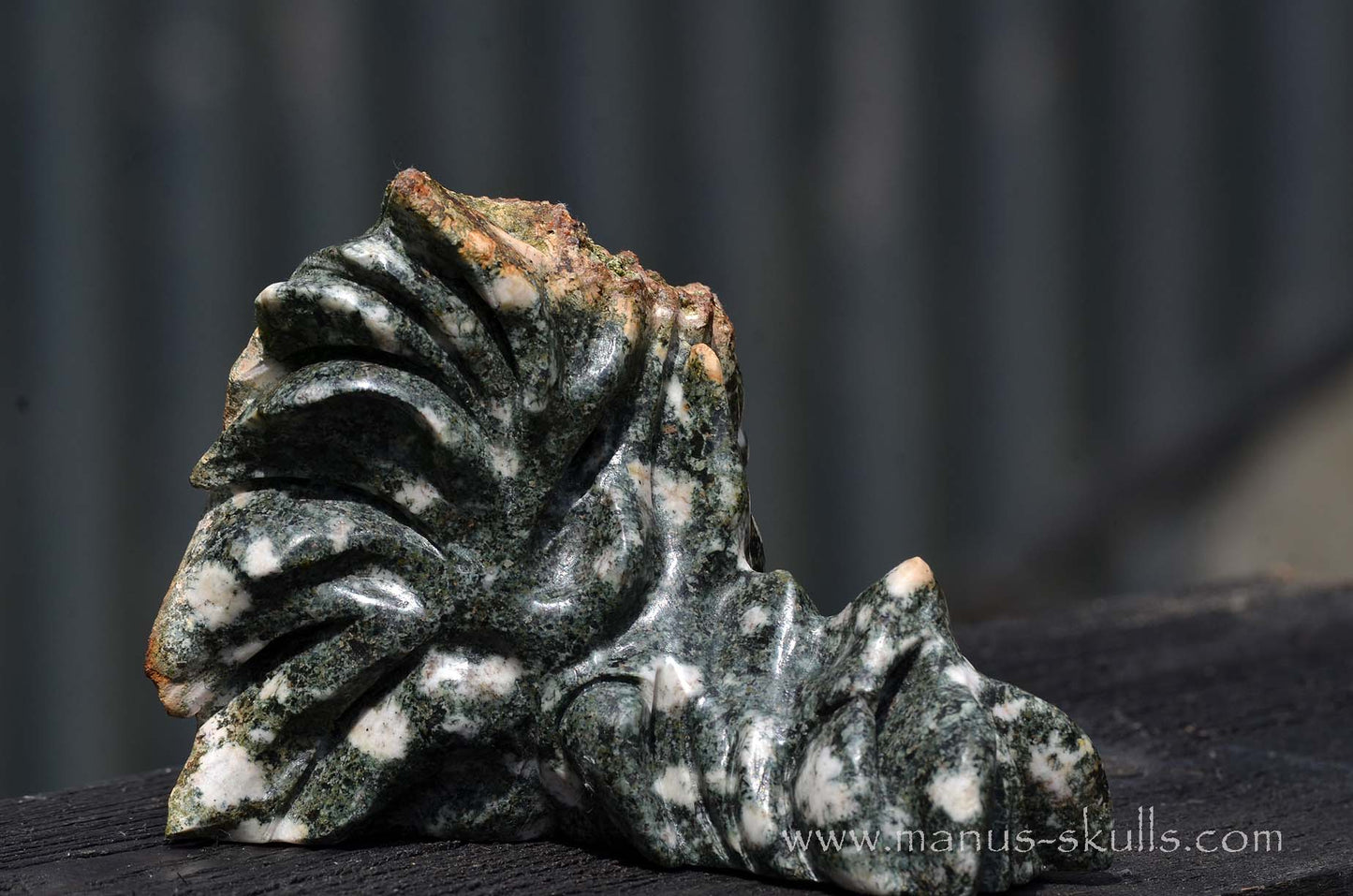 Preseli Bluestone Dragon