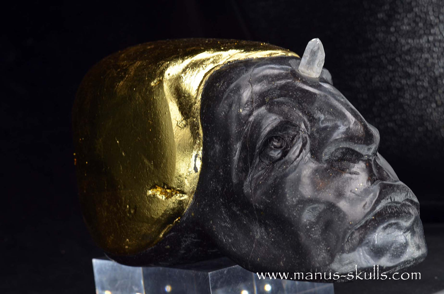 Star Light Being Skull  (Sen’tri)