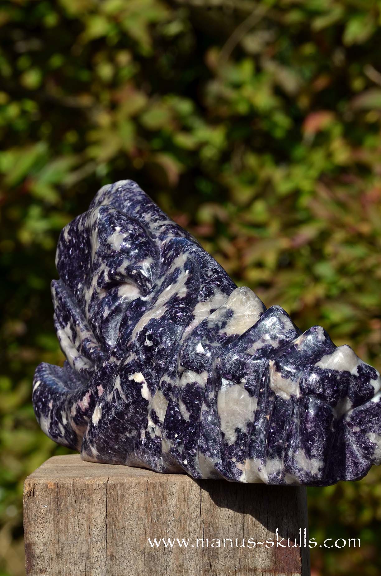 Huge LEPIDOLITE Dragon ...