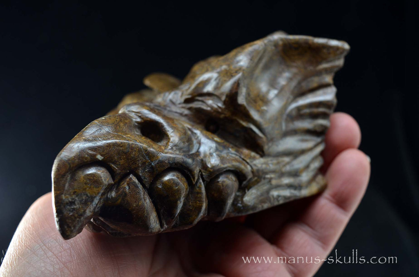 Stromatolite Dragon