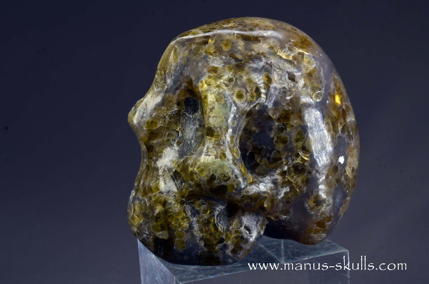 Rare Plume Agate Skull