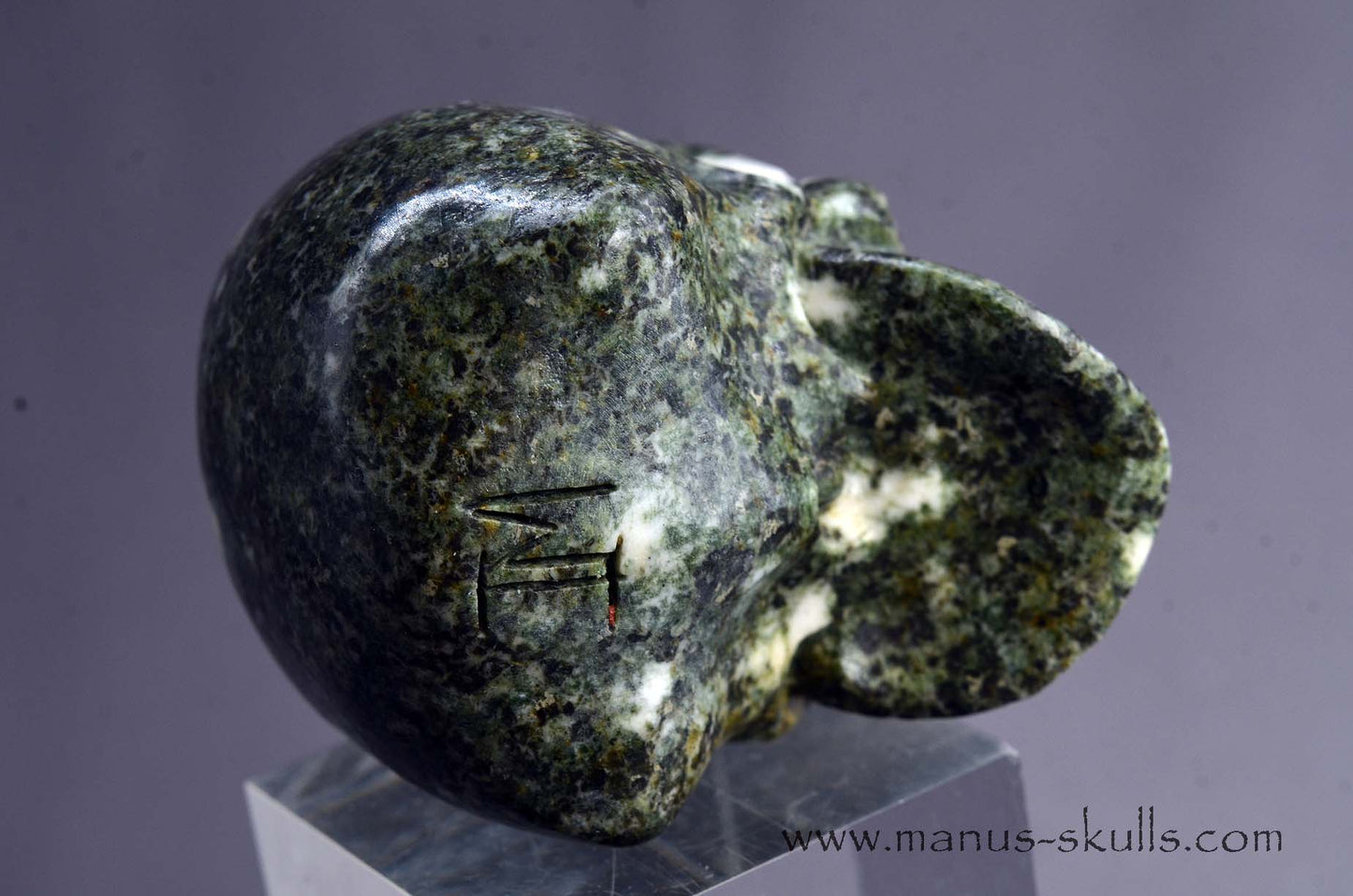 Preseli Bluestone Skull