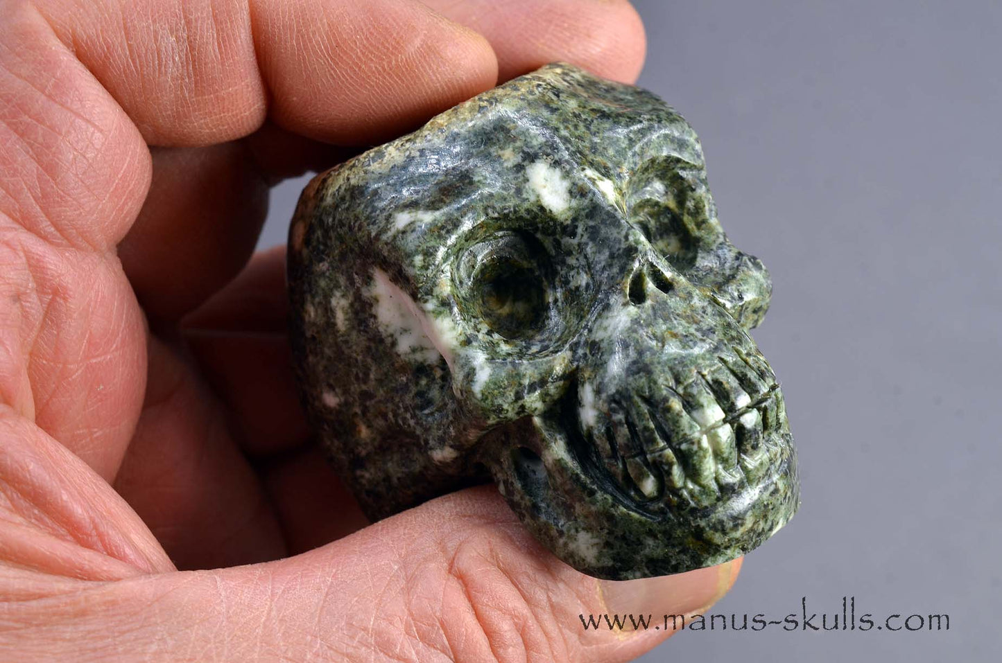 Preseli Bluestone Skull