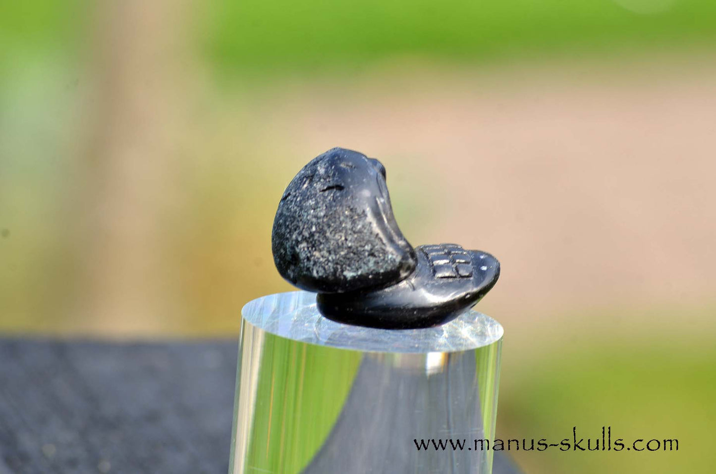 Agni Manitite Evolian #04