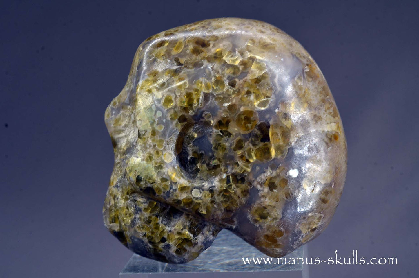 Rare Plume Agate Skull