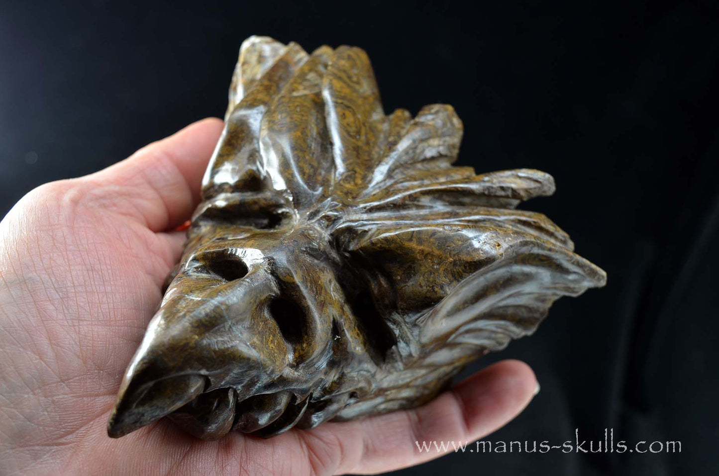 Stromatolite Dragon