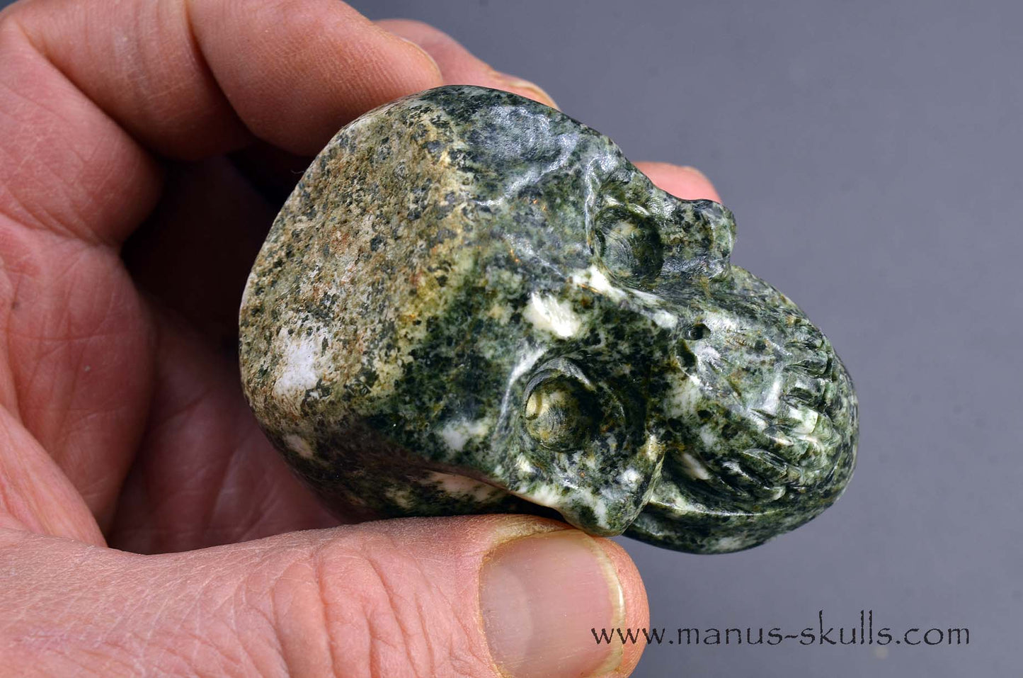 Preseli Bluestone Skull