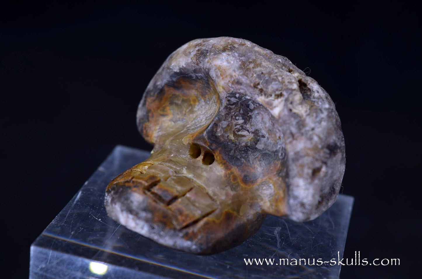 Agate Geode Evolian #05