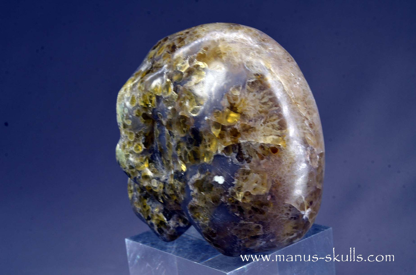 Rare Plume Agate Skull