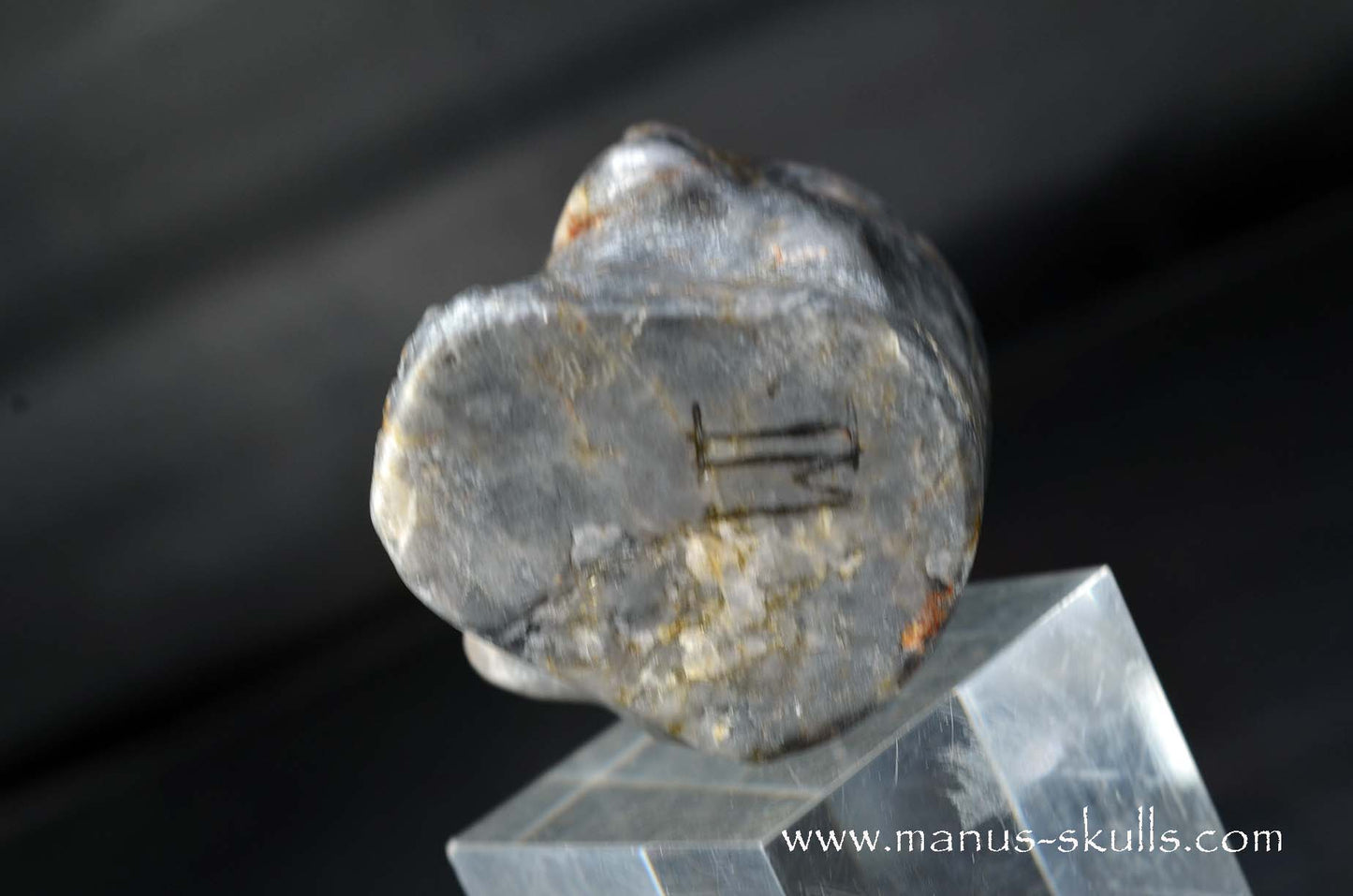 Eagle Eye Quartz Skull