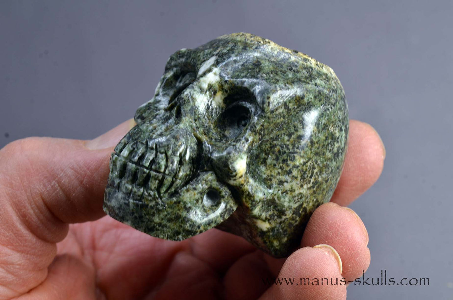 Preseli Bluestone Skull