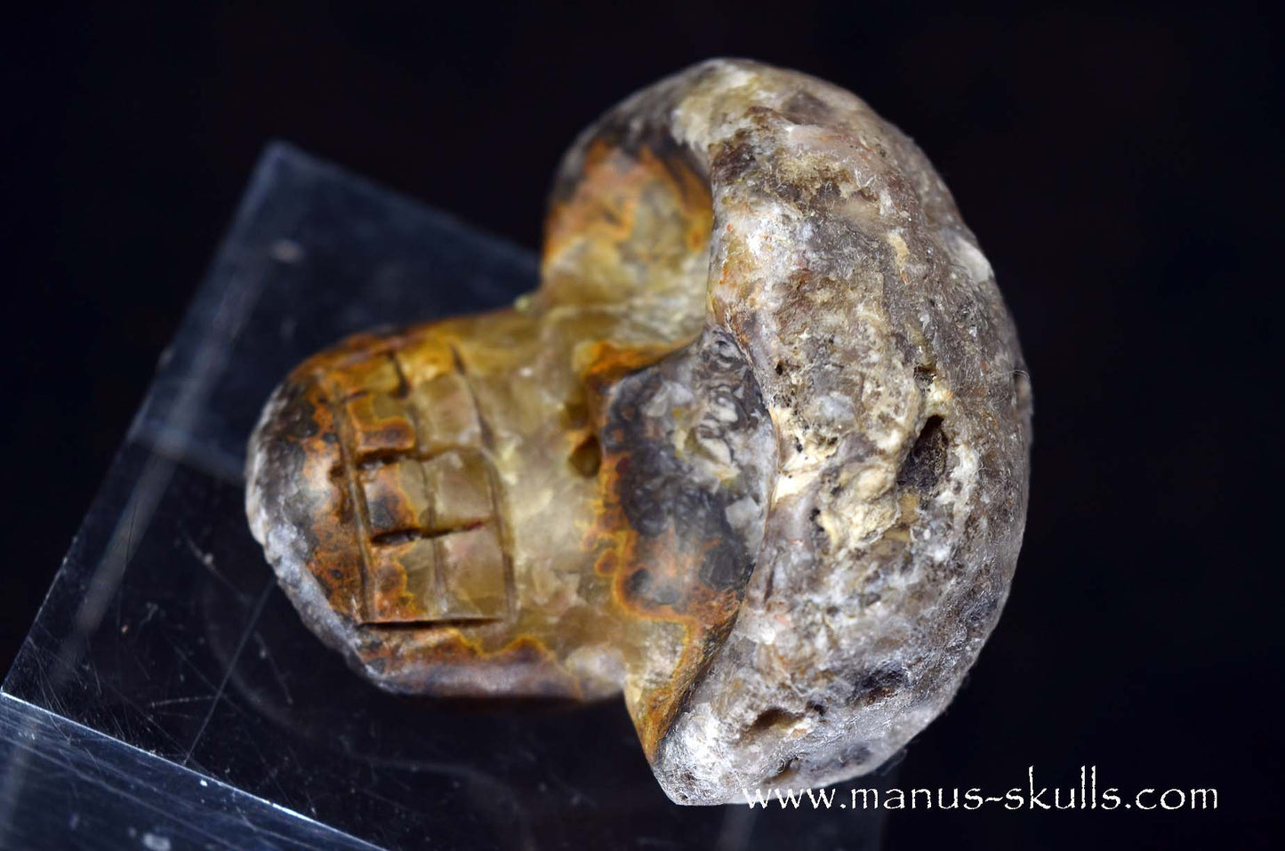 Agate Geode Evolian #05