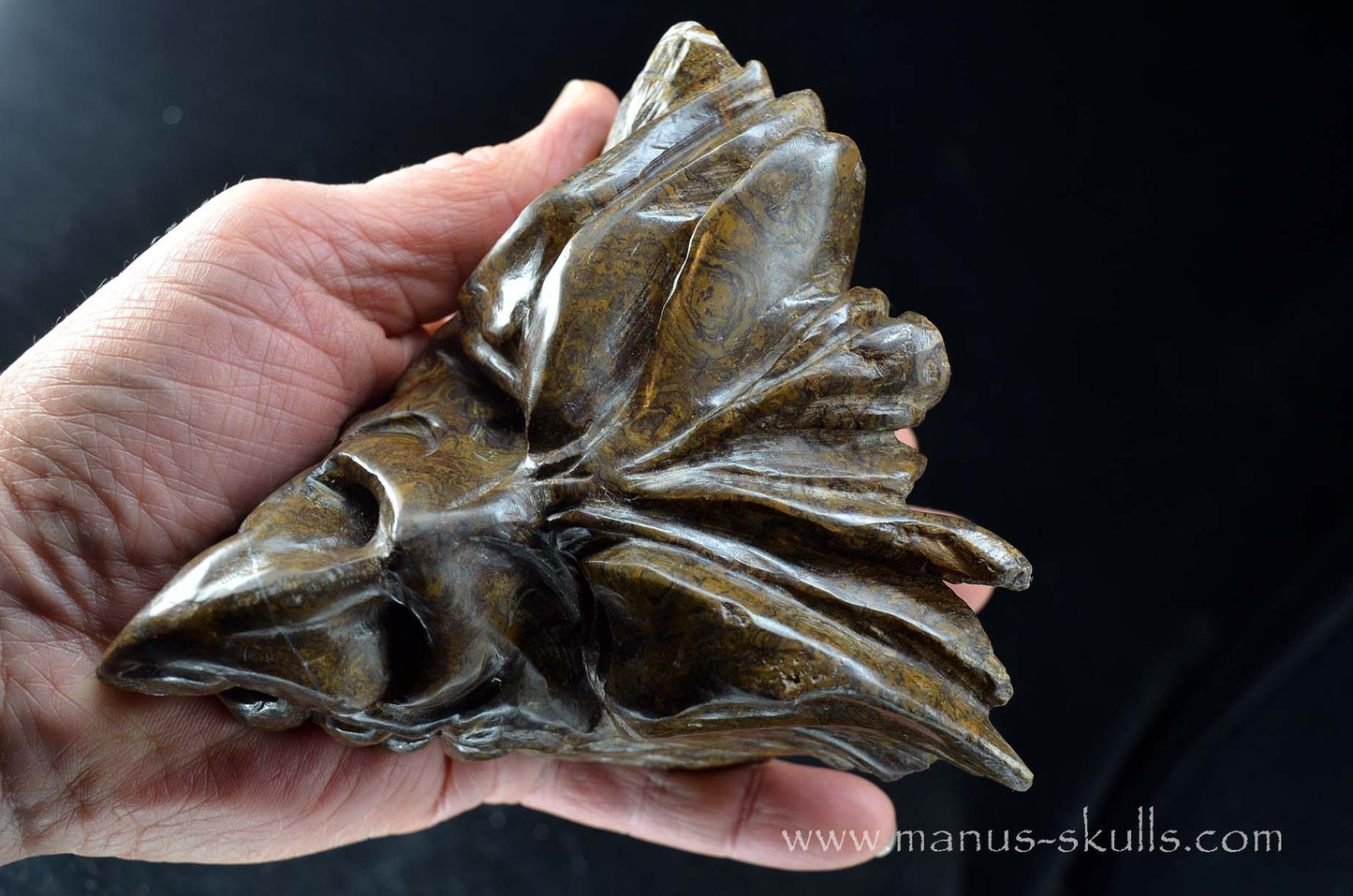 Stromatolite Dragon