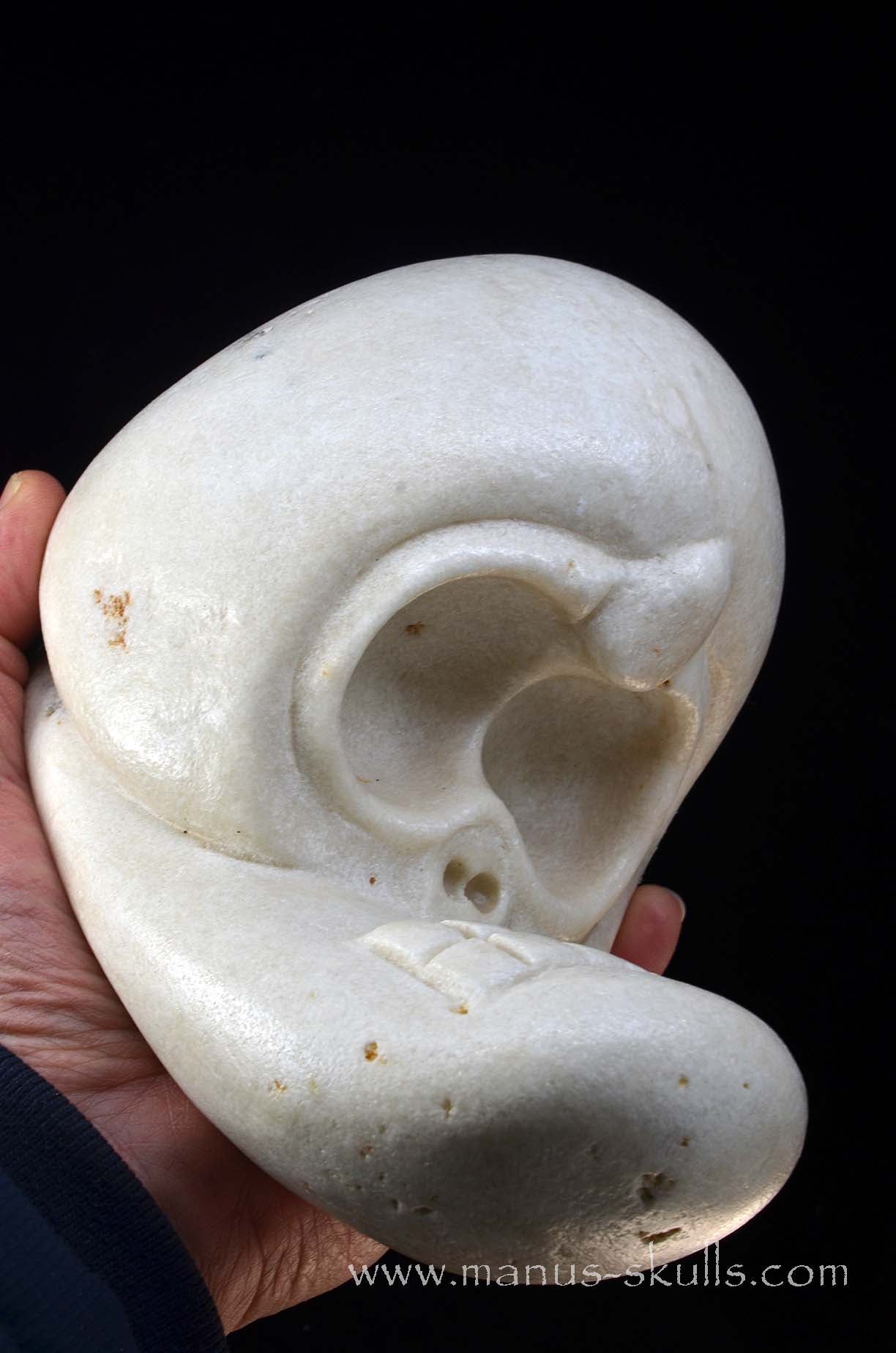 White Steatite Evolian 2026 #04