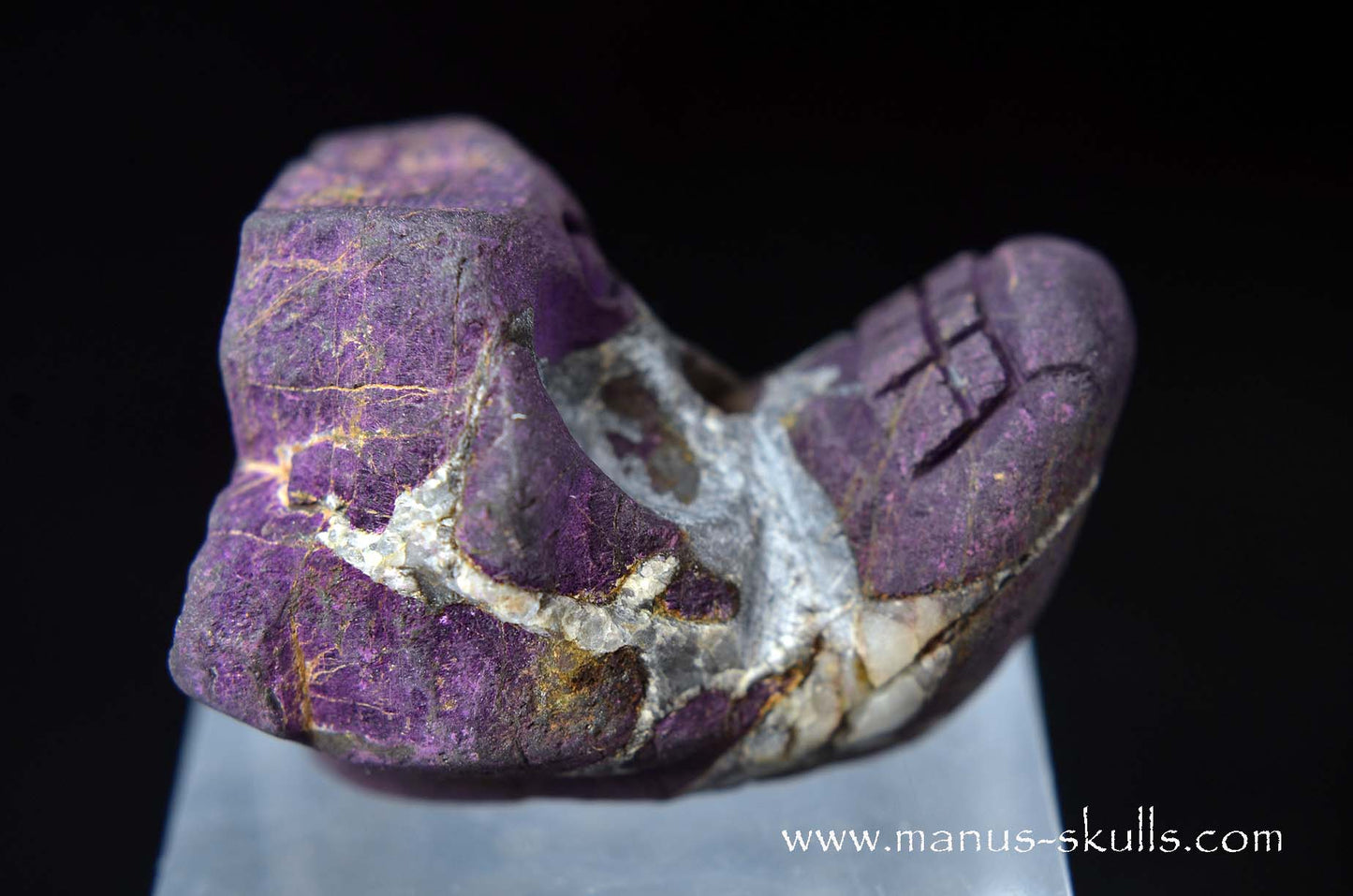 Purpurite Evolian #02