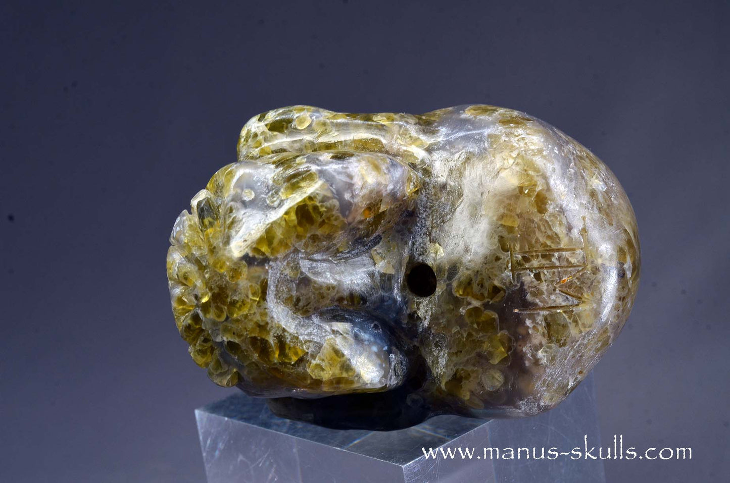 Rare Plume Agate Skull