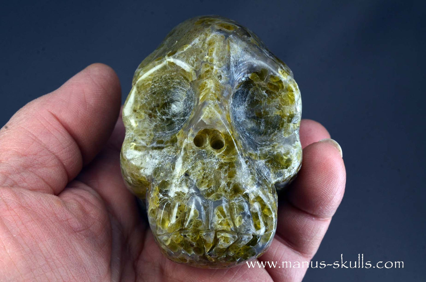 Rare Plume Agate Skull