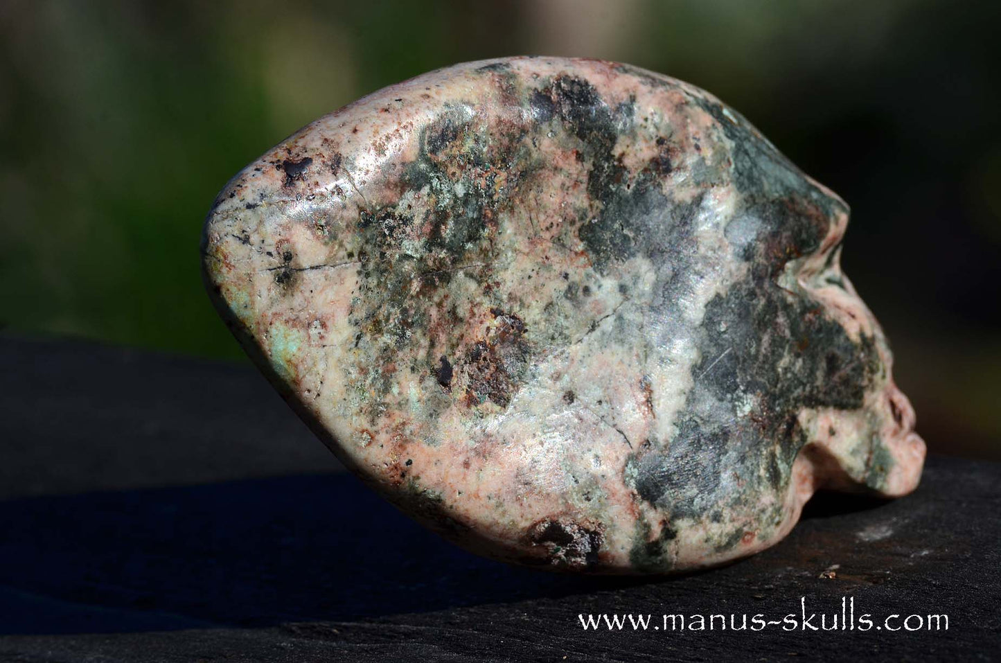 EILAT STONE Traveller SKULL