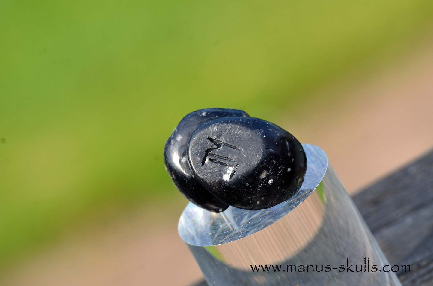 Agni Manitite Evolian #04