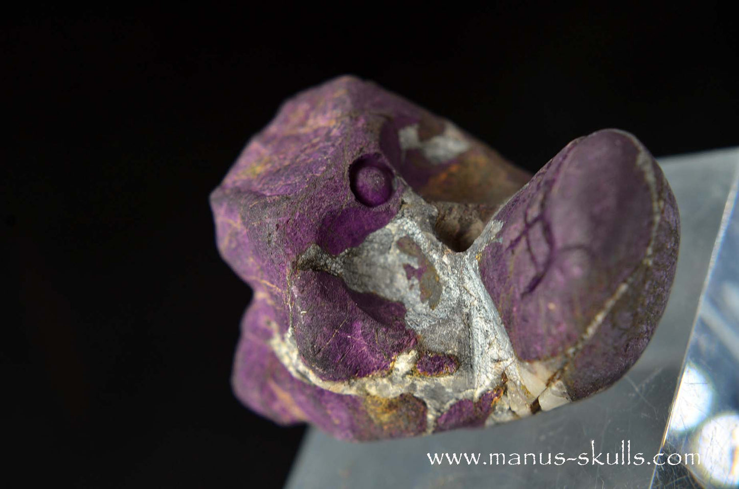 Purpurite Evolian #02