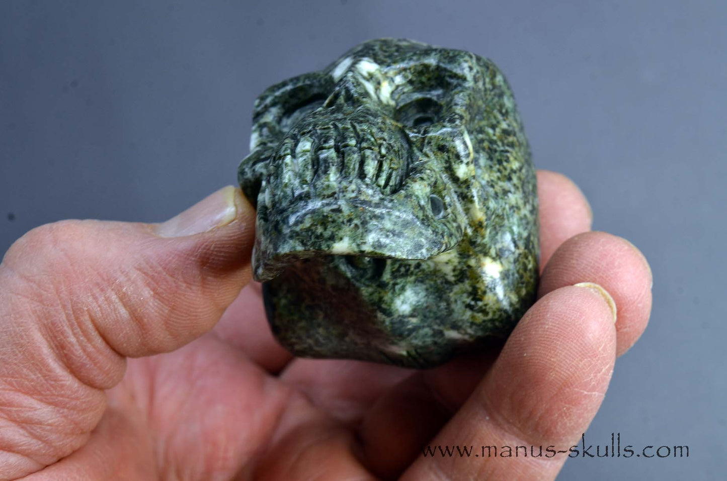 Preseli Bluestone Skull