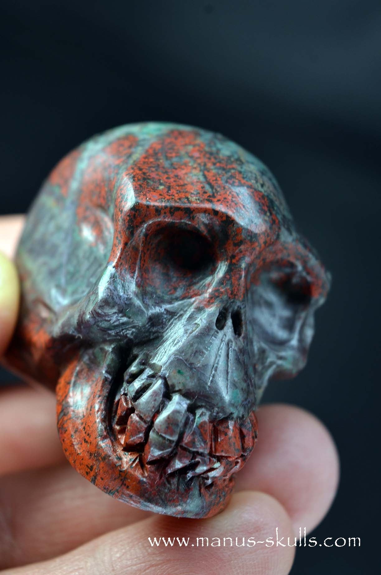 Sonora Sunrise Skull