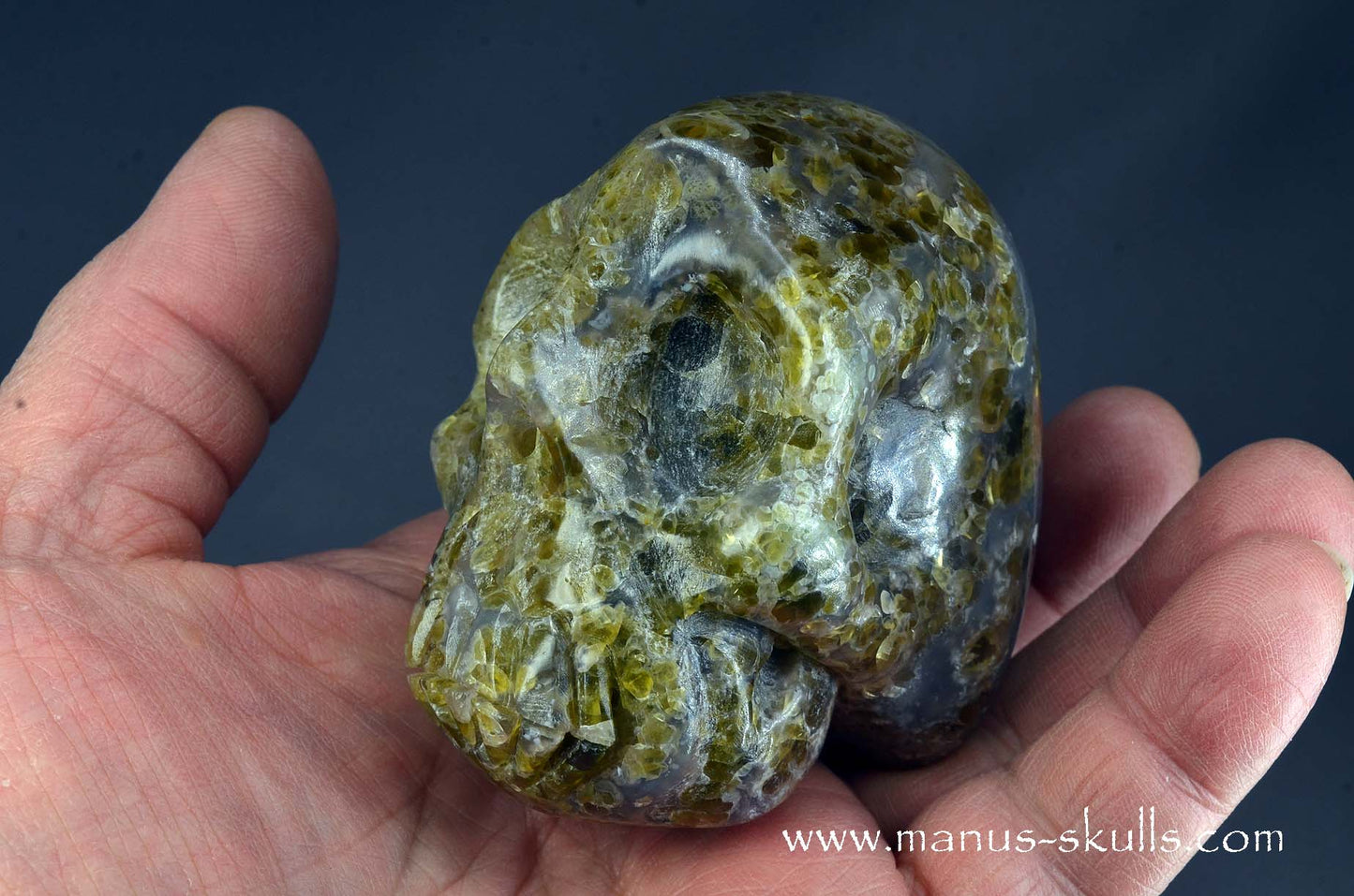 Rare Plume Agate Skull