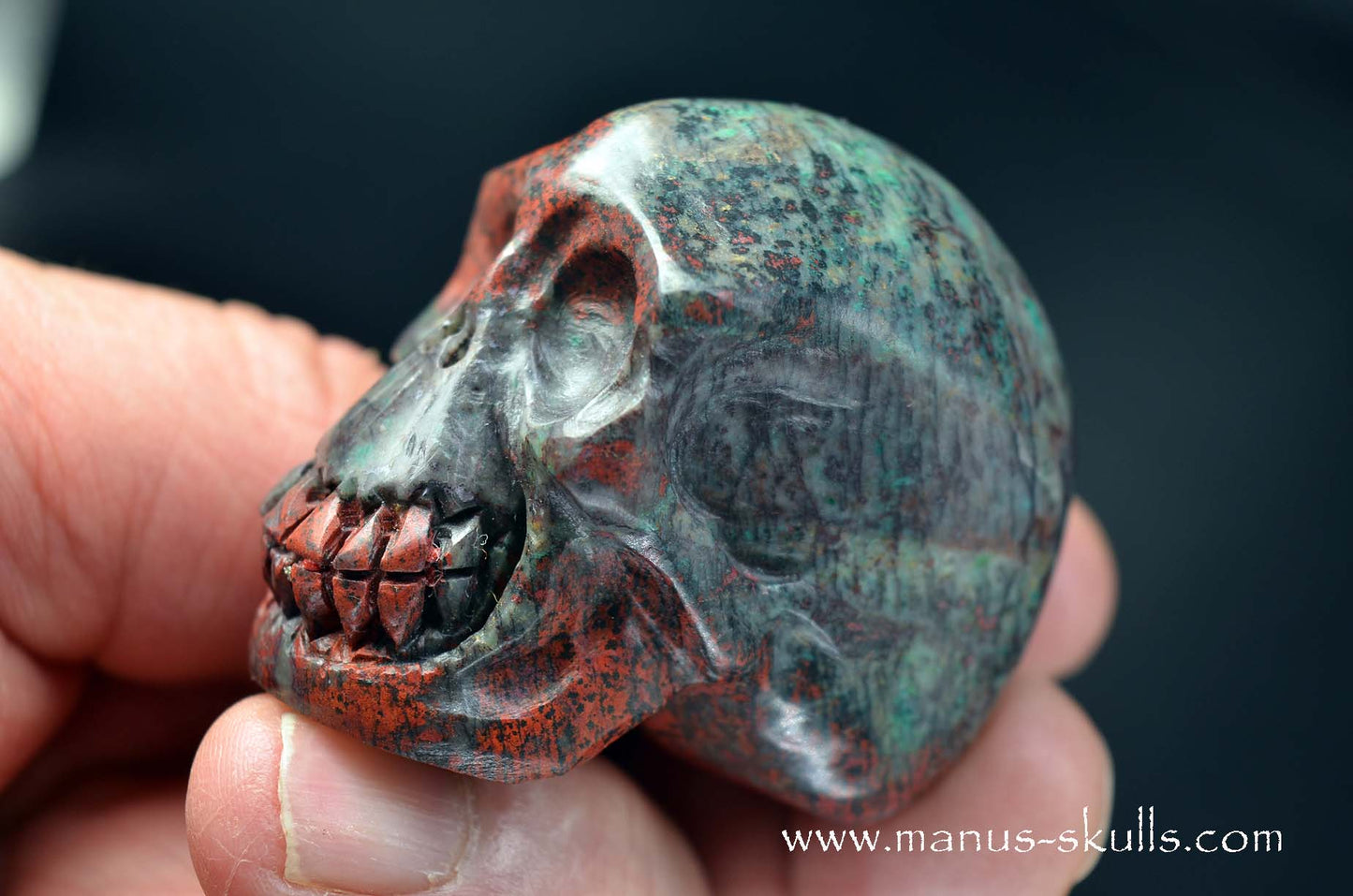 Sonora Sunrise Skull