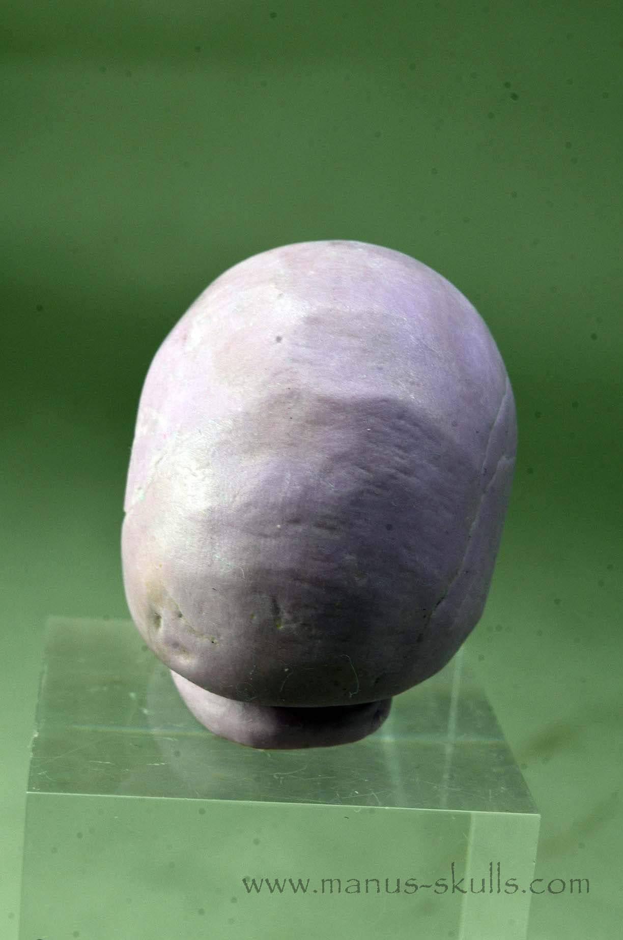 Phosphosiderite Evolian Skull #05