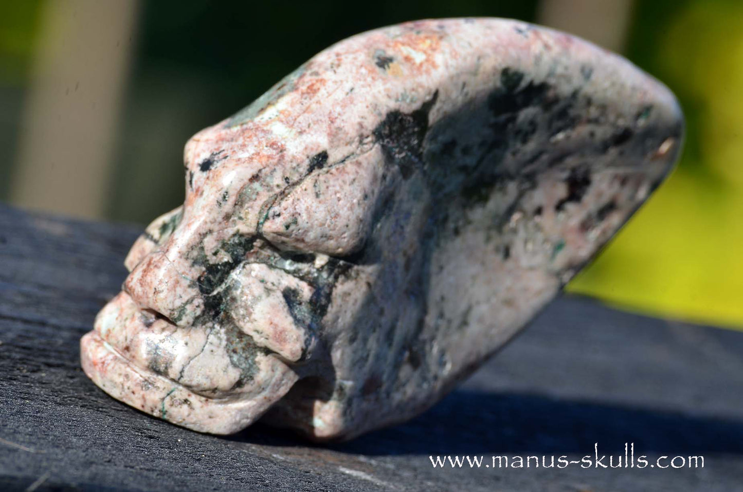 EILAT STONE Traveller SKULL