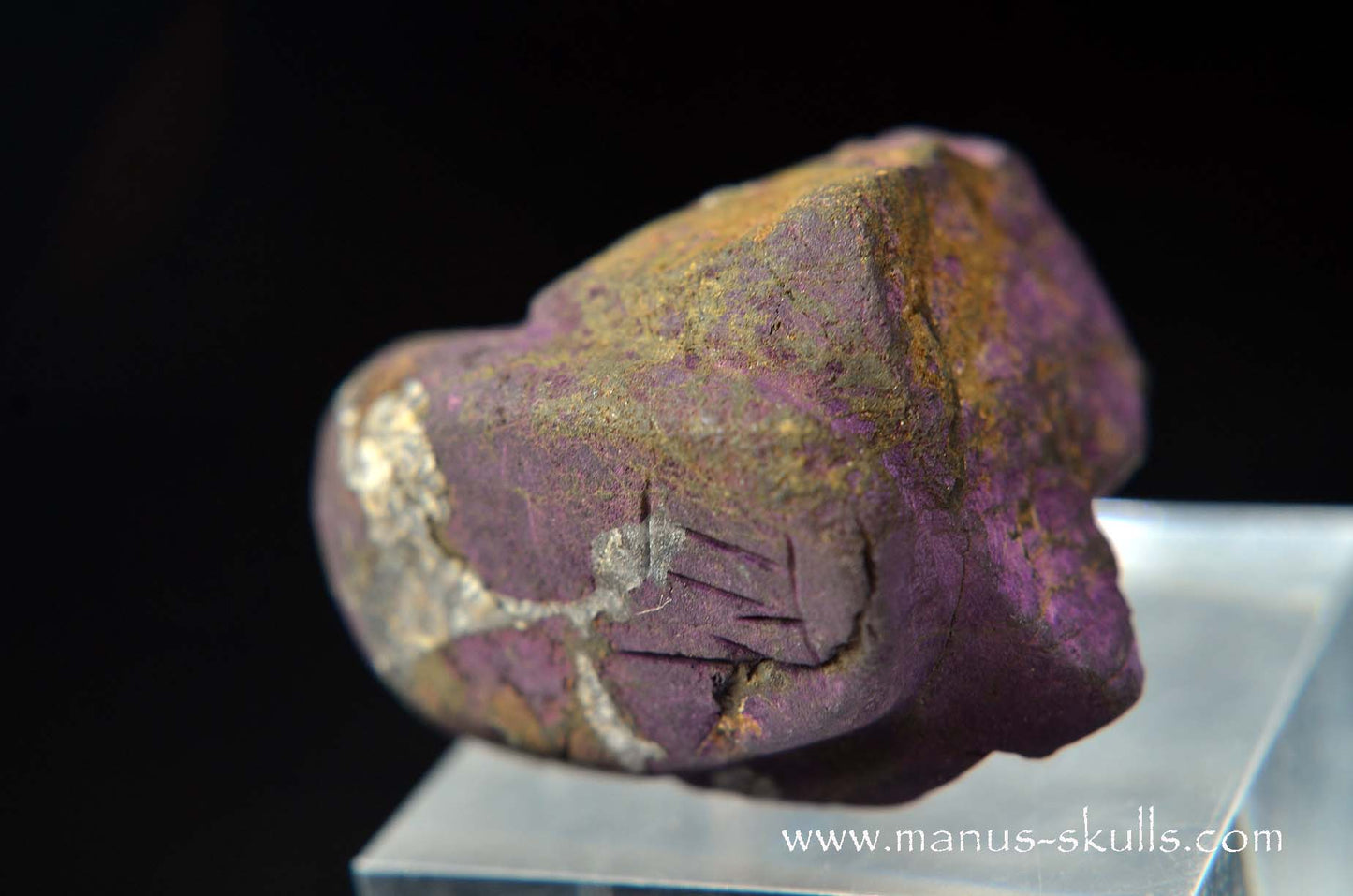 Purpurite Evolian #02