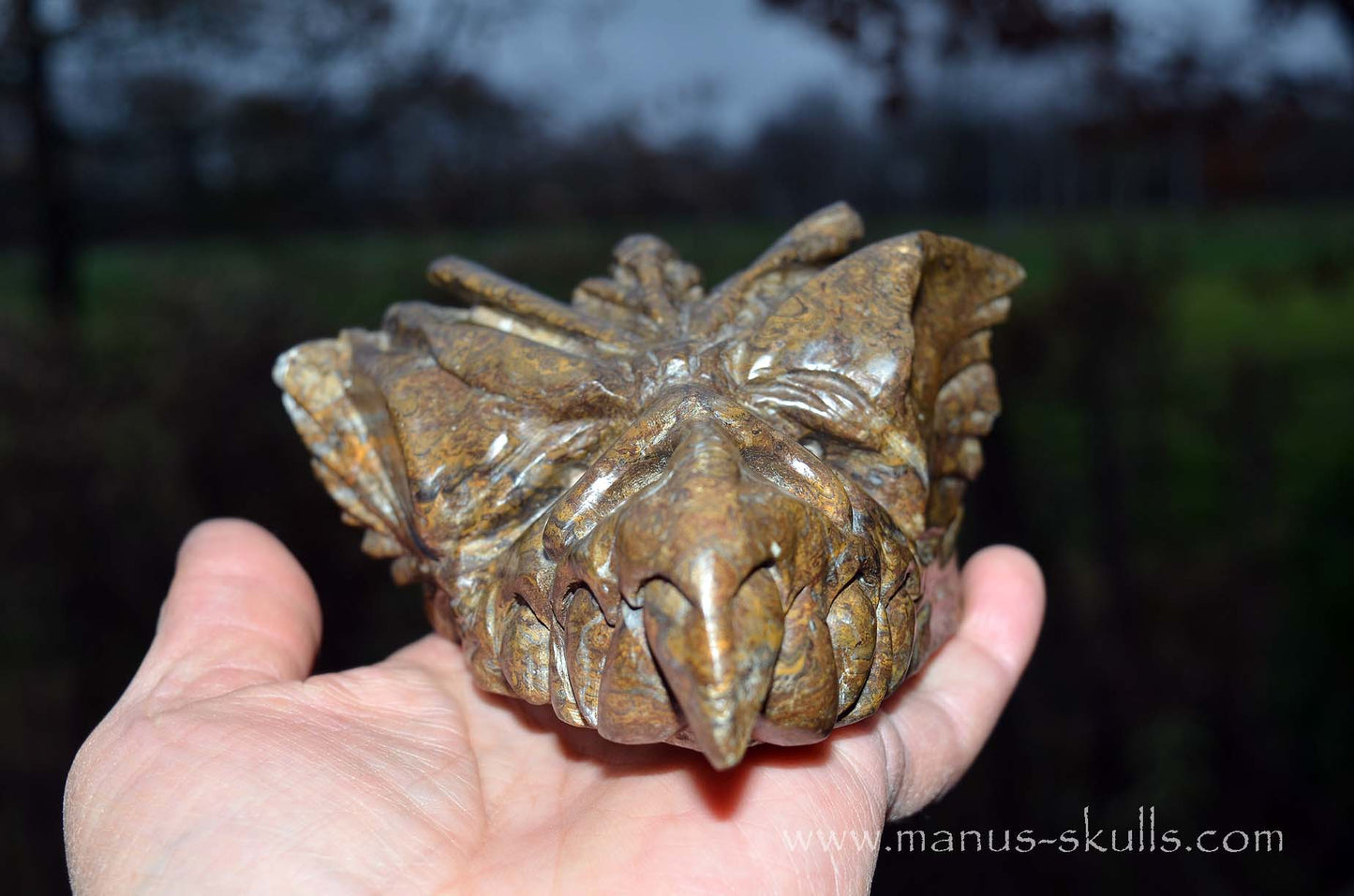 Stromatolite Dragon