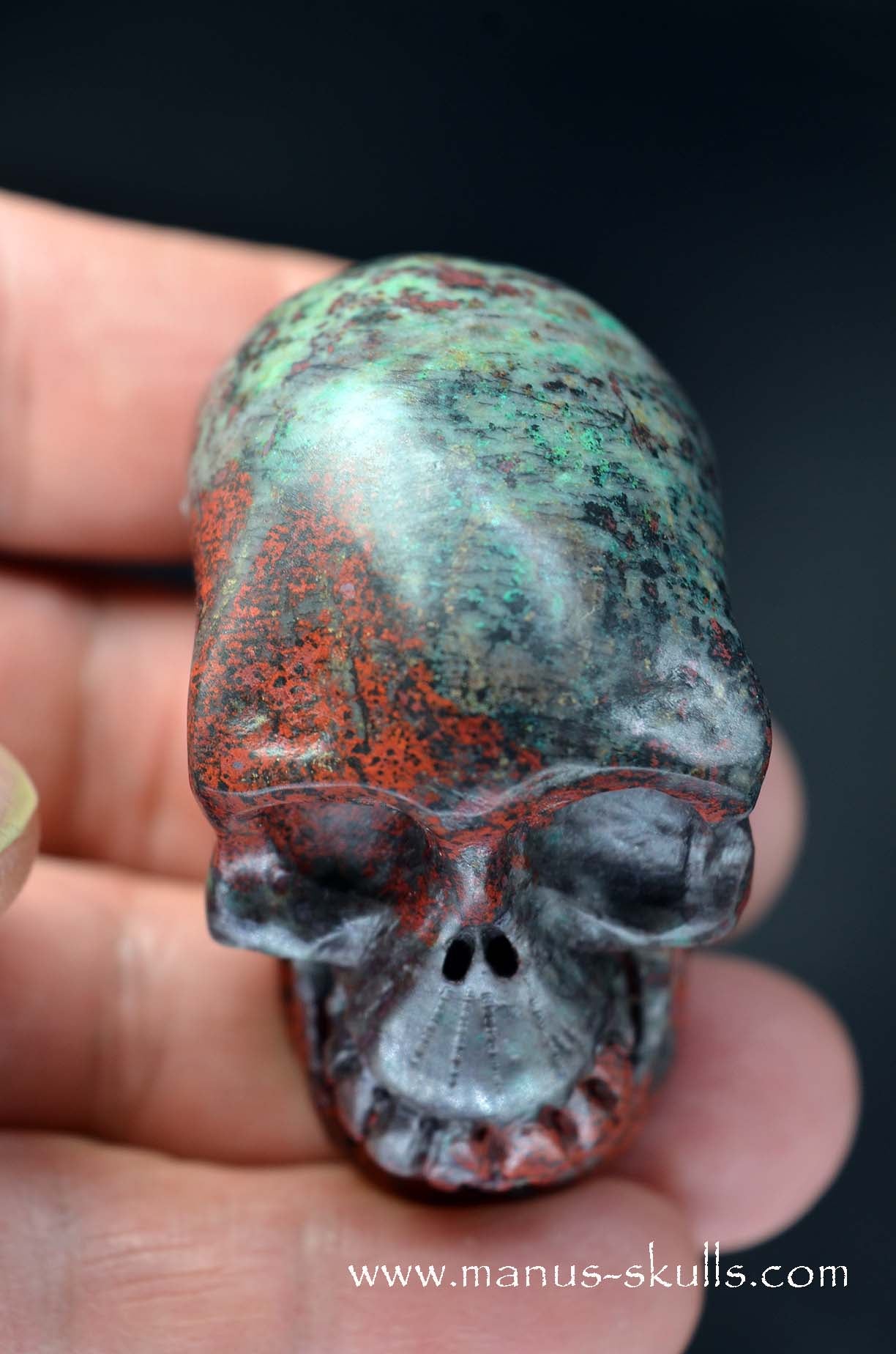 Sonora Sunrise Skull