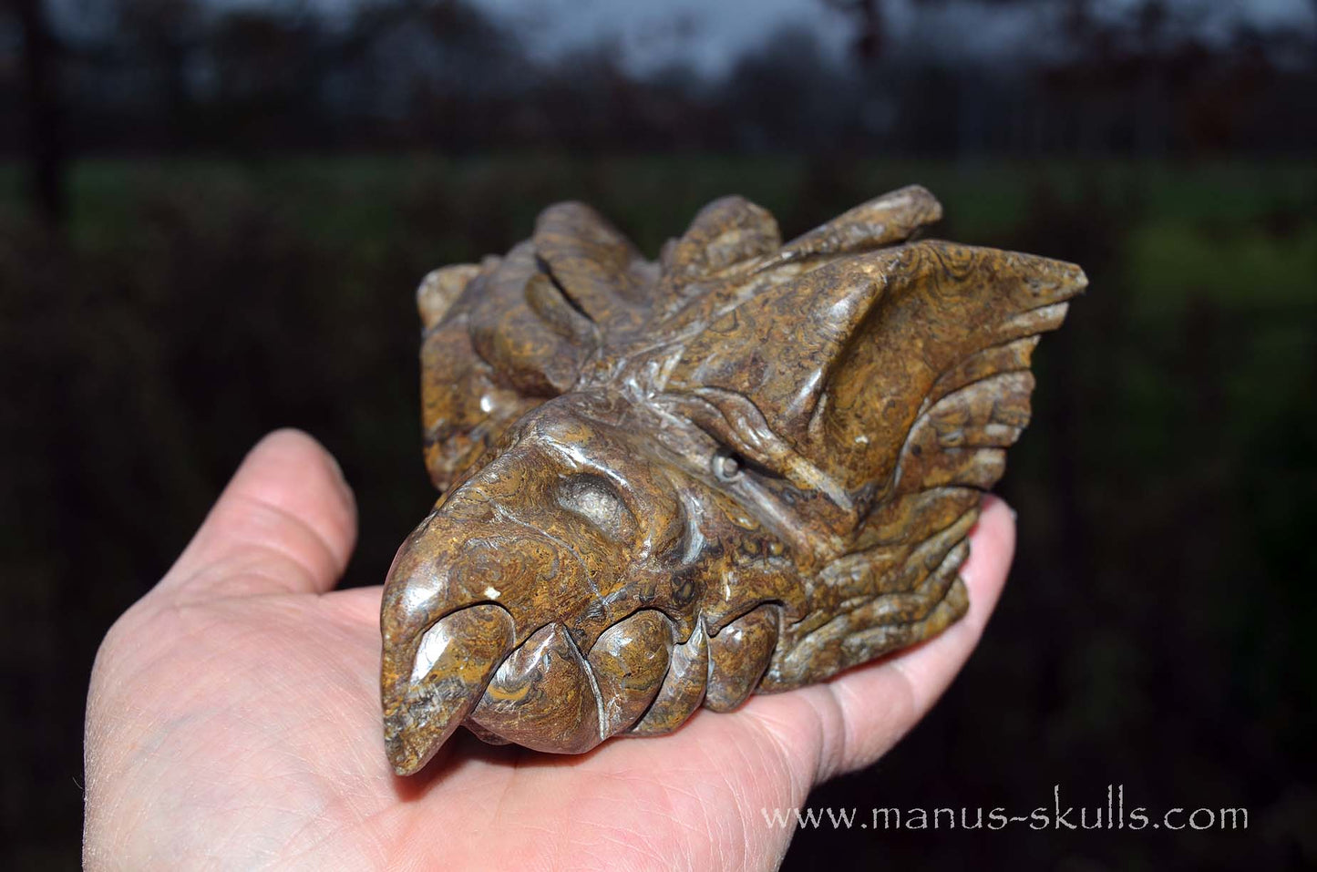 Stromatolite Dragon