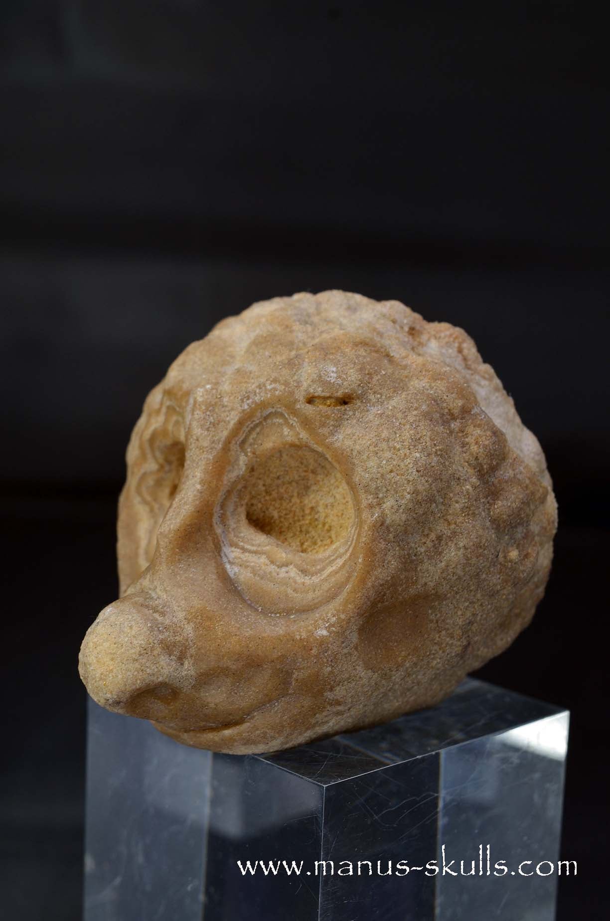  Alt Tekst foto’s: 
Manus skulls unique Crystal Carvings handmade skulls dragons pendants preseli bluestone tribals spiritual meaning wand Unicorn .. 
stromatolite   oncolite